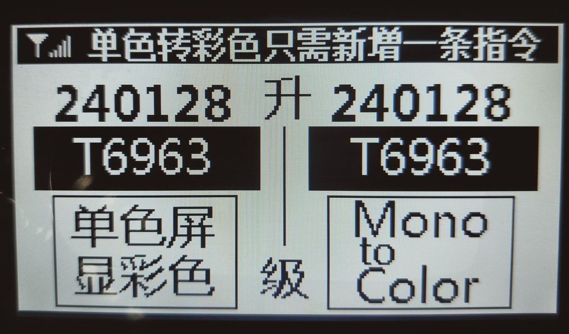 T6963 COB LCD Display Module